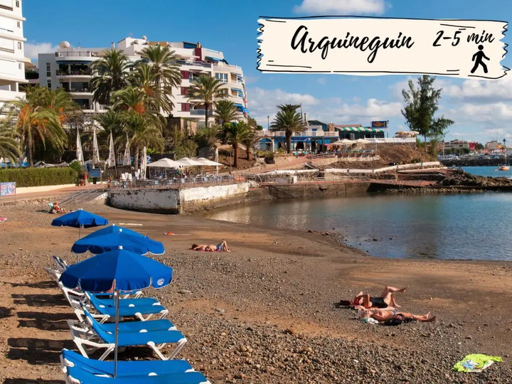 Kanarya Adaları'nda 4 Yatak Odalı Villa, 1077