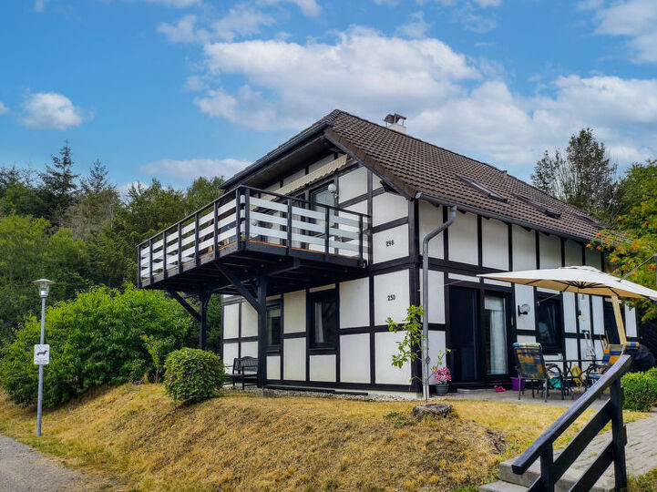 Hessen'de Büyüleyici Villa Tatili, 1001, Frankenau, Germany