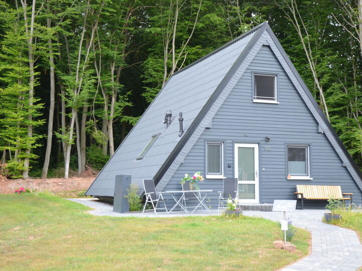 Gizli Bir Cennet: Zarif 3 Yatak Odalı Villa, Hessen, 1008, Bad Arolsen, Germany