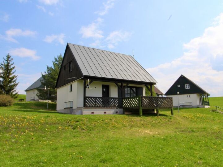 Modern 3 Yatak Odalı Villa, Yemyeşil Bahçeler İçinde, 1008, Královéhradecký kraj, Czech Republic