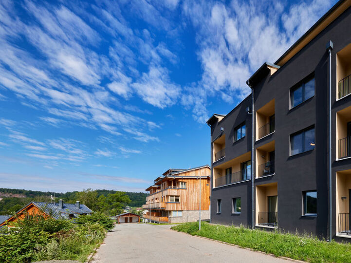 1019'da Kiralık Konforlu ve Romantik Villa, Černý Důl, Czech Republic