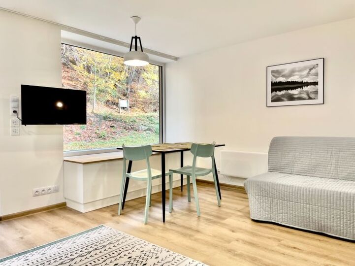 Muhteşem Manzaralı, Büyüleyici 1 Yatak Odalı Villa, 1001, Karlovarský kraj, Czech Republic