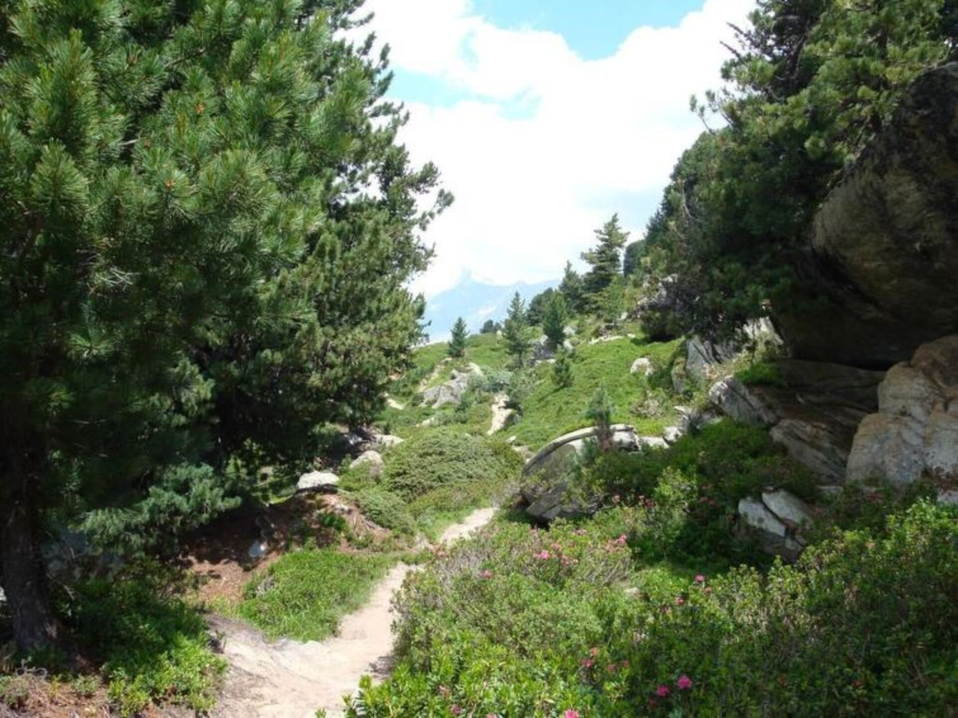 Valais'te Huzurlu Dağ Cenneti, 1362