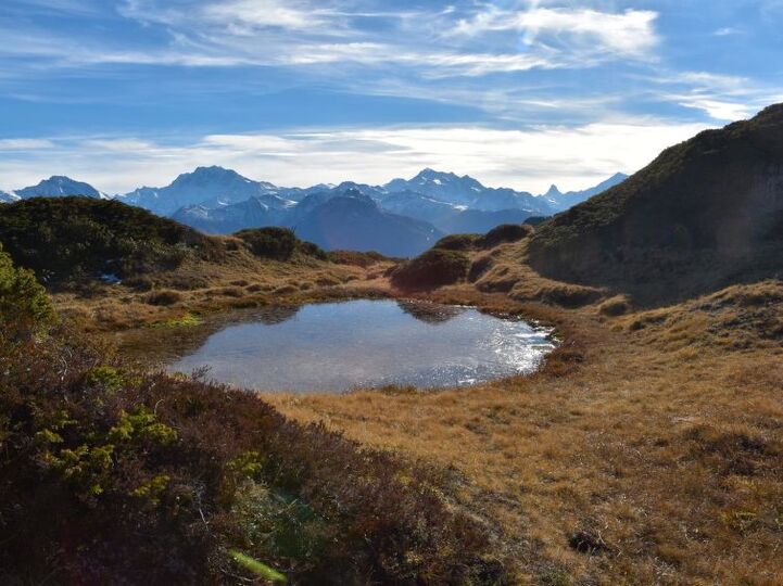 Valais Villa'da Rustik Zarafet, 1363