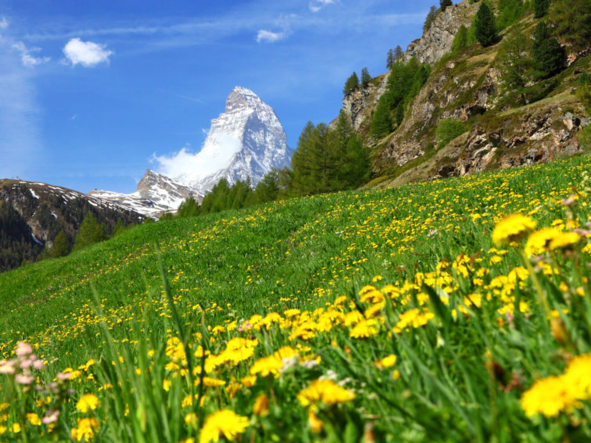 Valais'te Huzurlu Alp İnziva Yeri, 1369