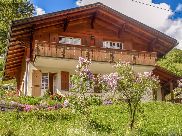 Grindelwald şehrinde şirin dağ villası, 1173, Grindelwald, Switzerland