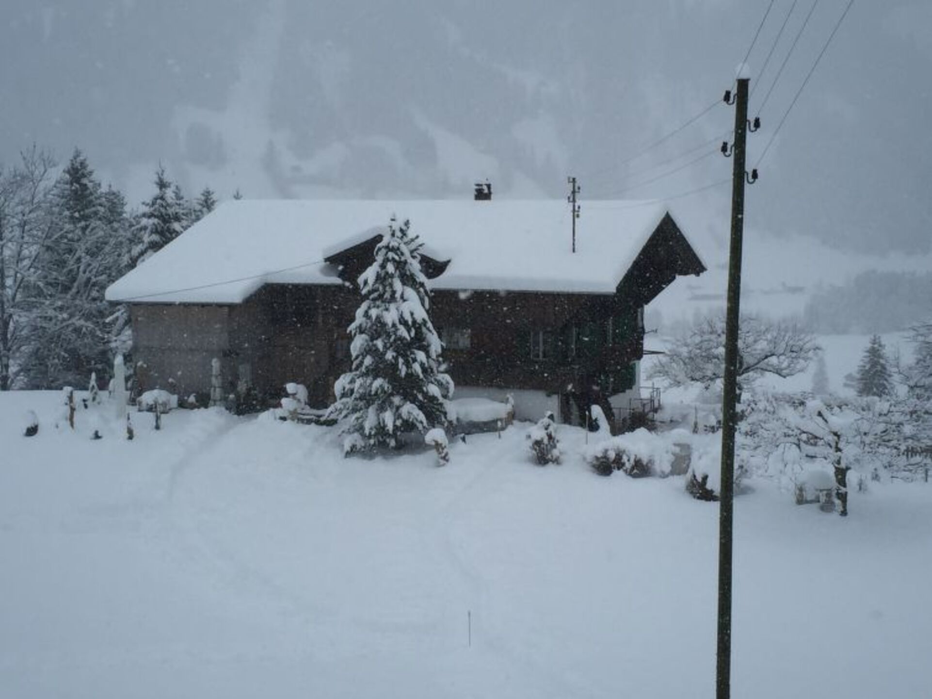 Lenk City'de 2 Yatak Odalı Şirin Villa, 1187