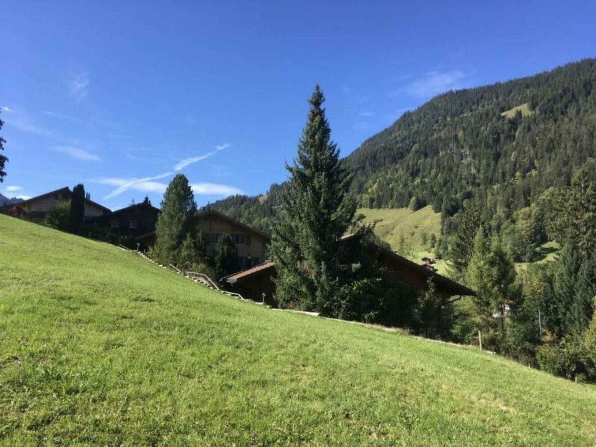 Zweisimmen'de Zarif 2 Yatak Odalı Villa, 1195