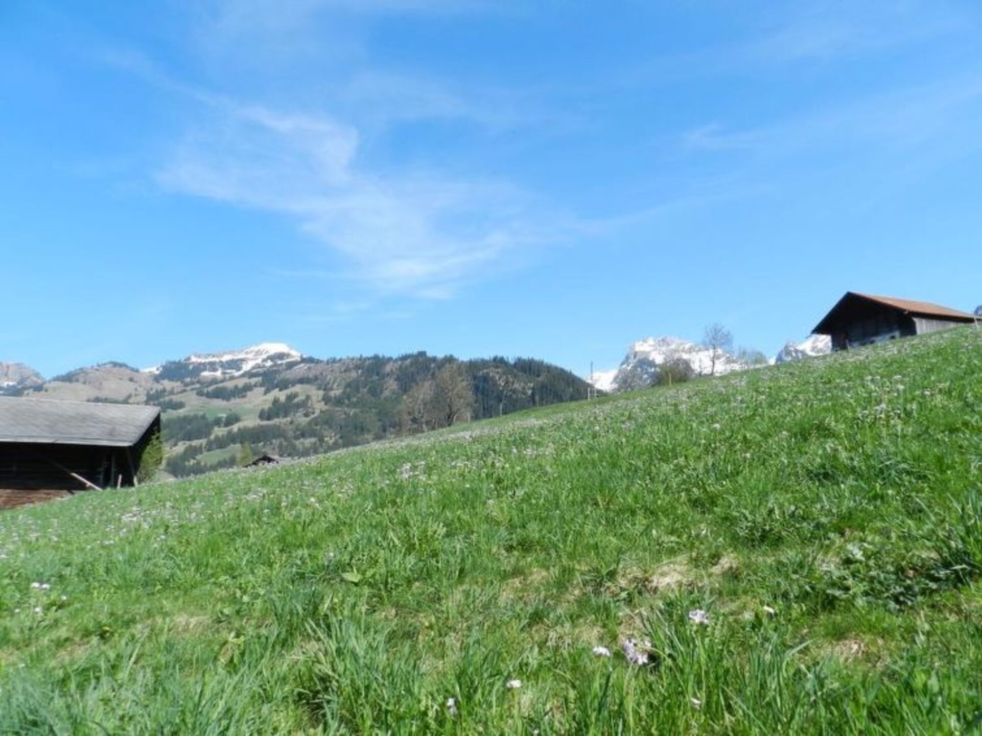 Zweisimmen'de Zarif 2 Yatak Odalı Villa, 1195