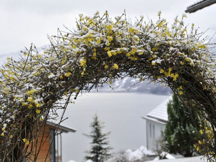 Spiez Rüya Evi: Havuzlu 5 Yatak Odalı Villa, 1199