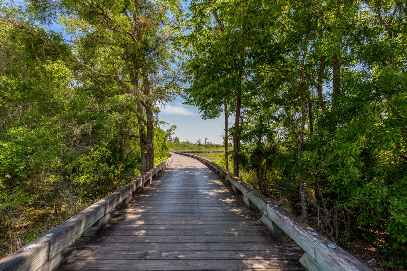 Enjoy a walk anytime of day