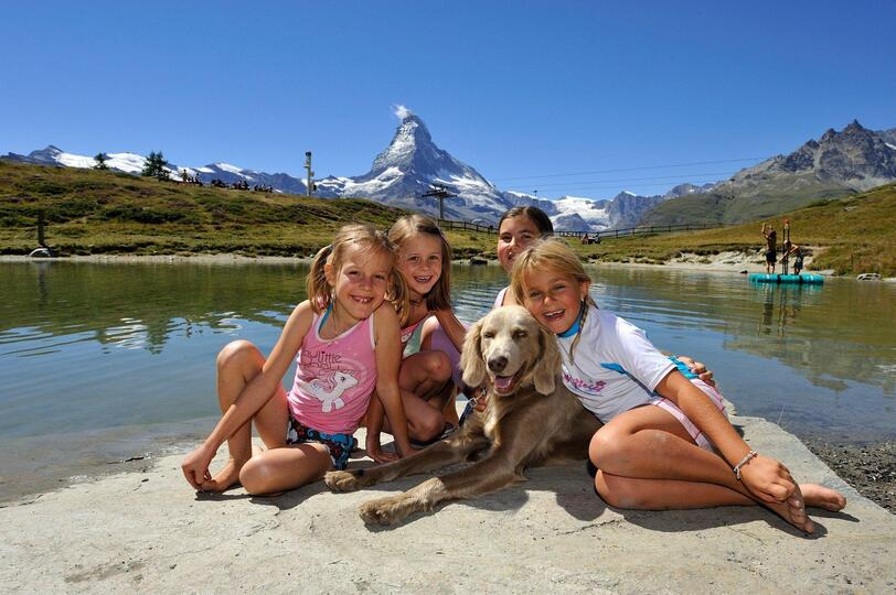 Matterhorn Manzarası ve Alp Zarafeti, Lüks Valais Şale Evi 1407