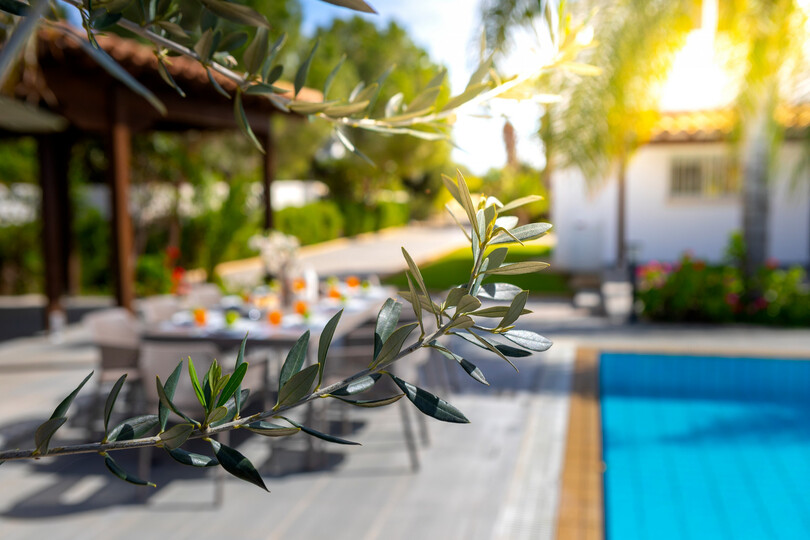 Ayia Napa Vahası'nda Muhteşem 4 Yatak Odalı Villa, 1391