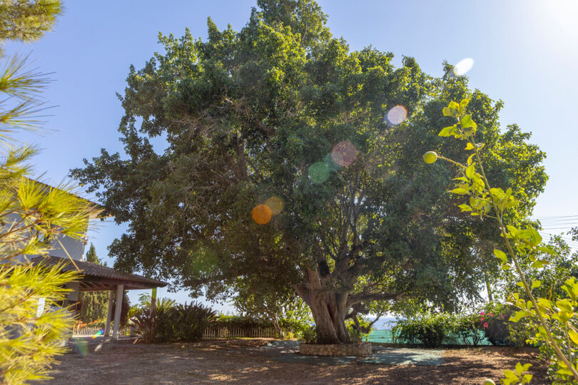 Ayia Napa'da Modern 4 Yatak Odalı Villa Vahası, 1396