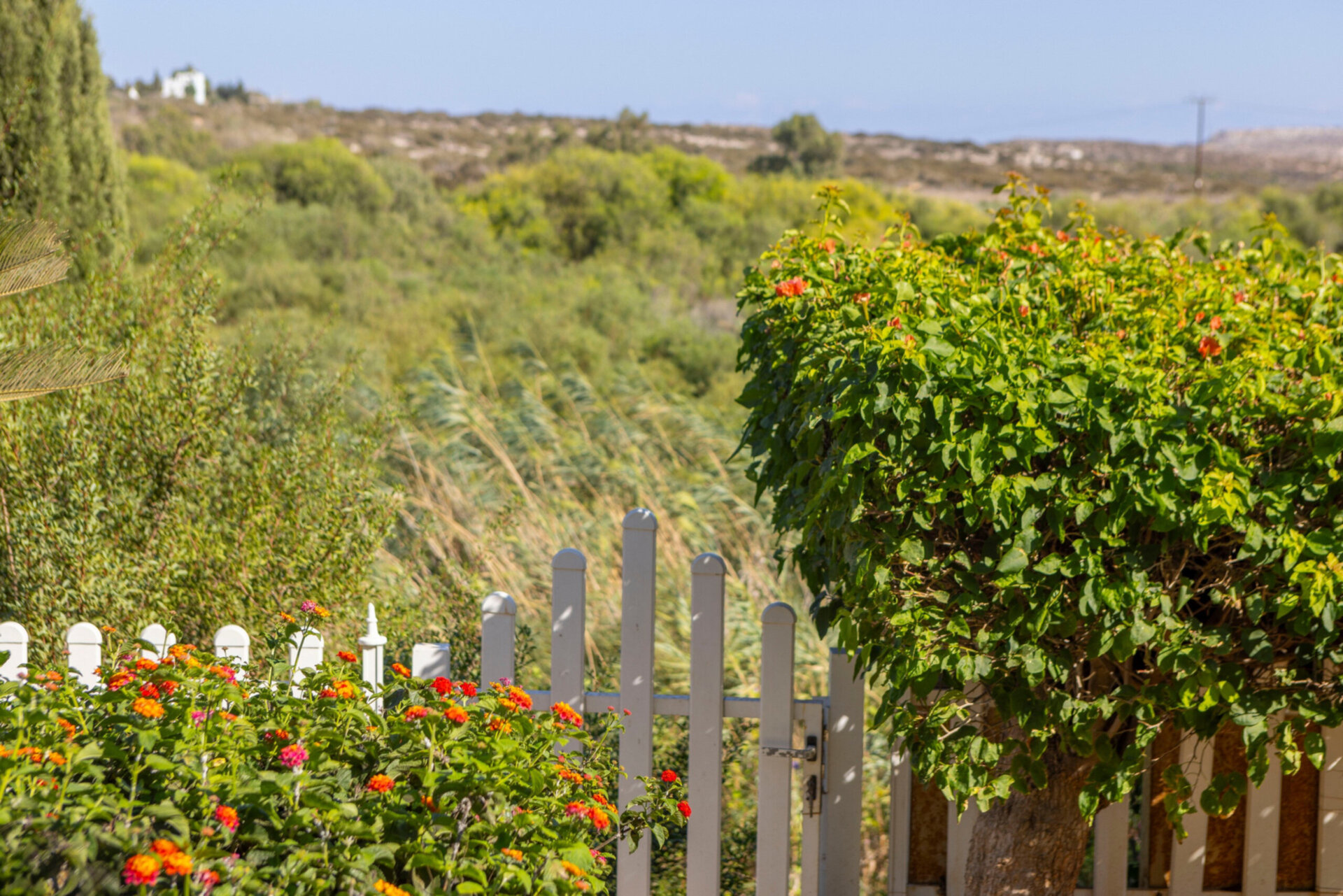 Ayia Napa'da Modern 4 Yatak Odalı Villa Vahası, 1396