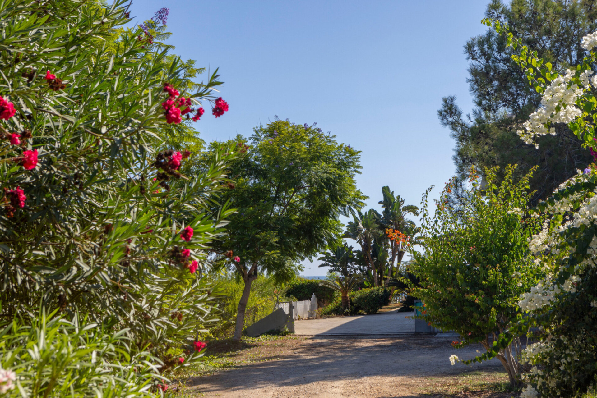 Ayia Napa'da Modern 4 Yatak Odalı Villa Vahası, 1396