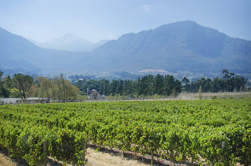 Breathtaking Views & Tranquil Luxury at Mont Rochelle, 1027