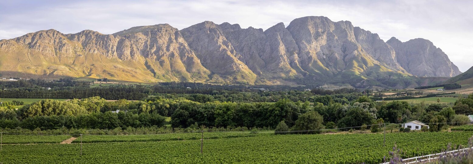 Mont Rochelle – A Luxurious Escape in Franschhoek, 1028