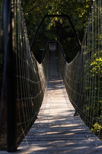 Tranquil Trails 1031