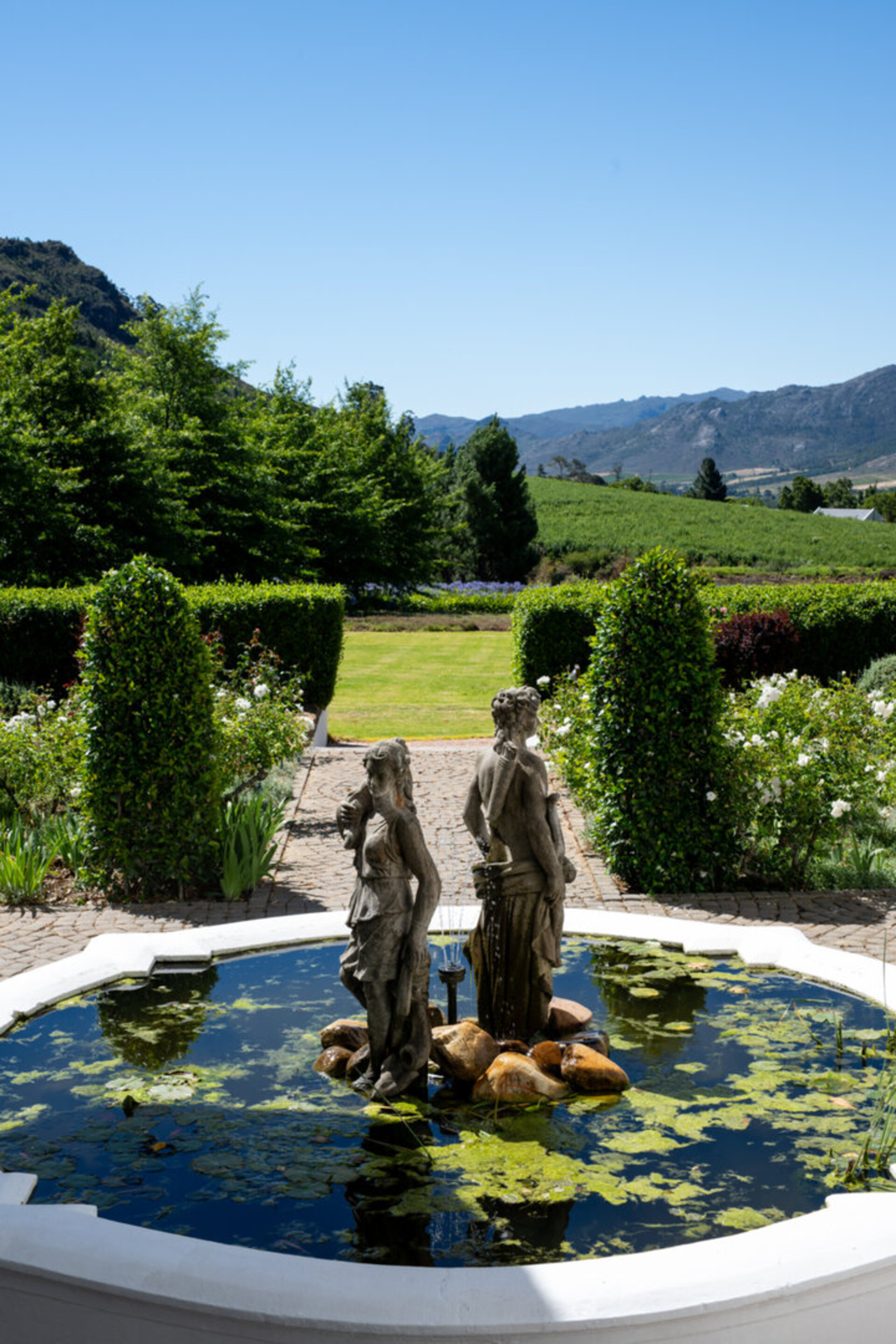 Elegant Shiraz Room with Vineyard & Mountain Views 1037