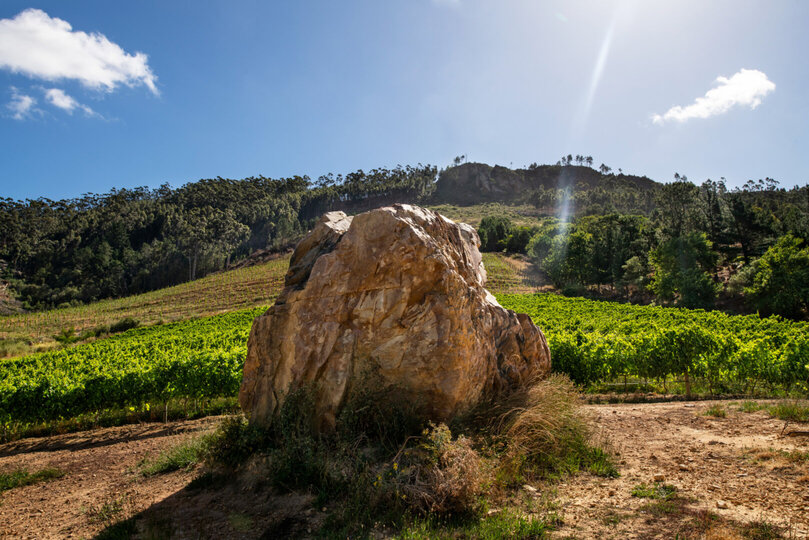 Cabernet Room with Private Terrace and Valley Vistas 1039