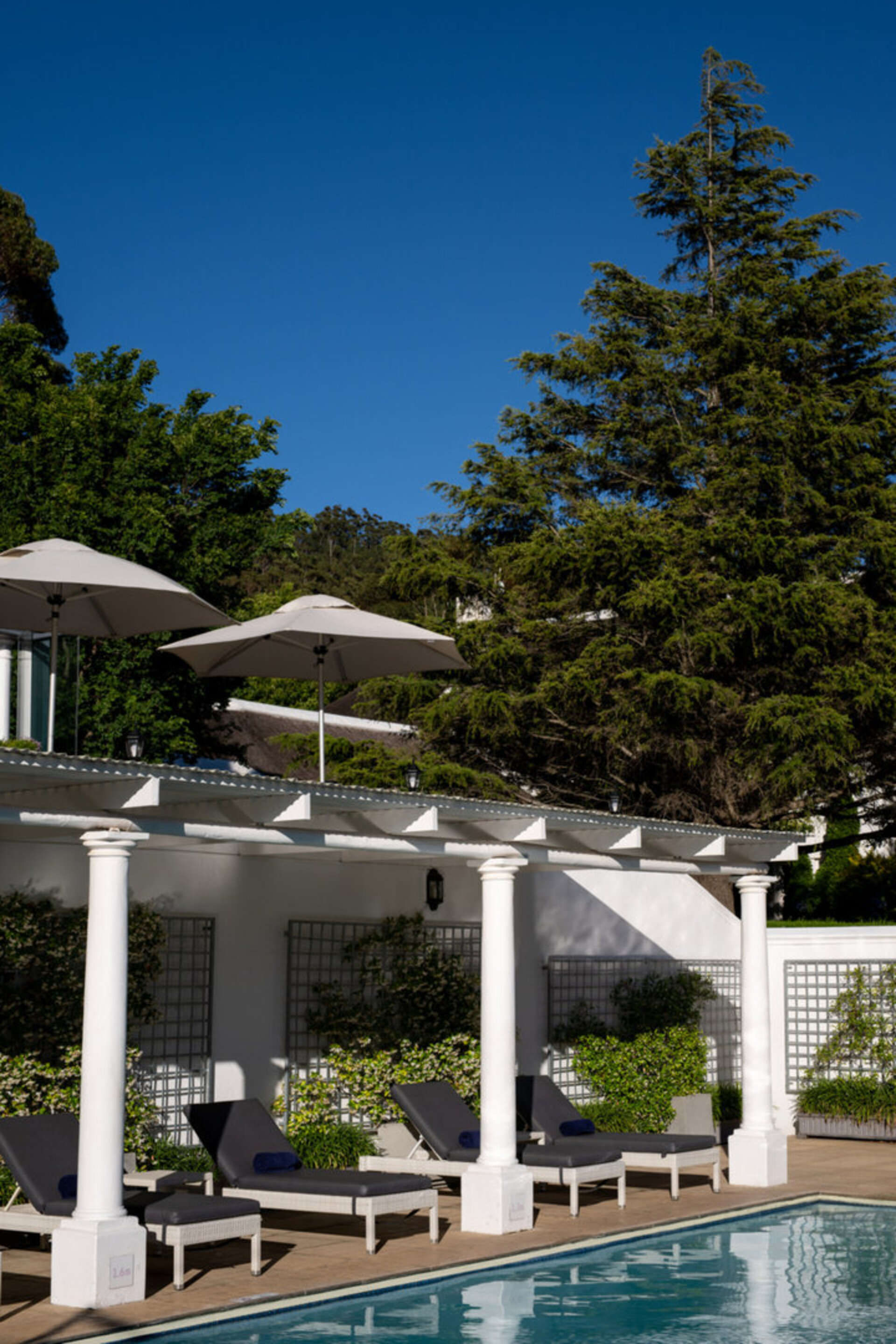 Elegant Pinotage Suites with Vineyard Mountain and Garden Views 1040