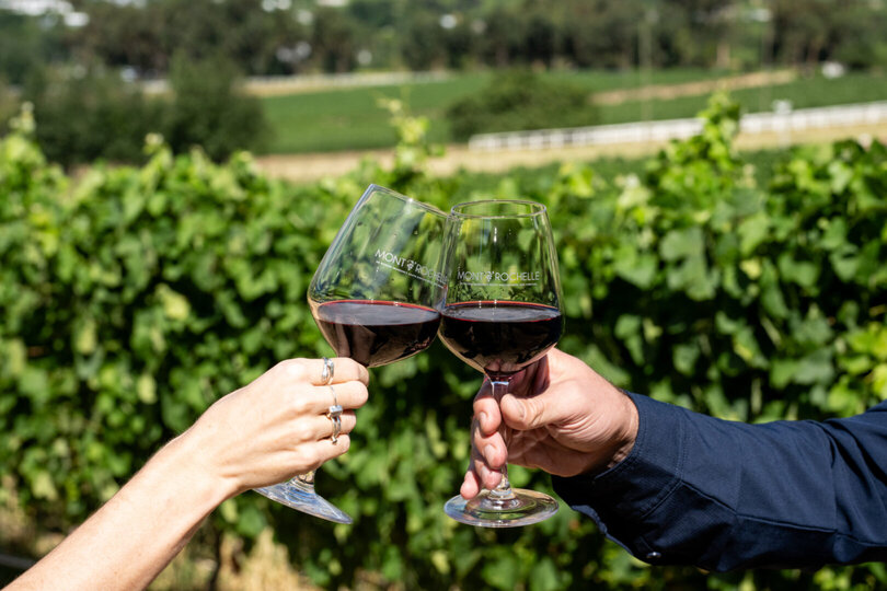 Elegant Pinotage Suites with Vineyard Mountain and Garden Views 1040