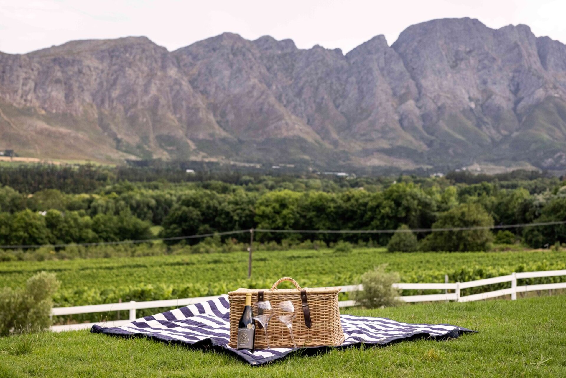 Chardonnay Room 1 with Manor Views 1044