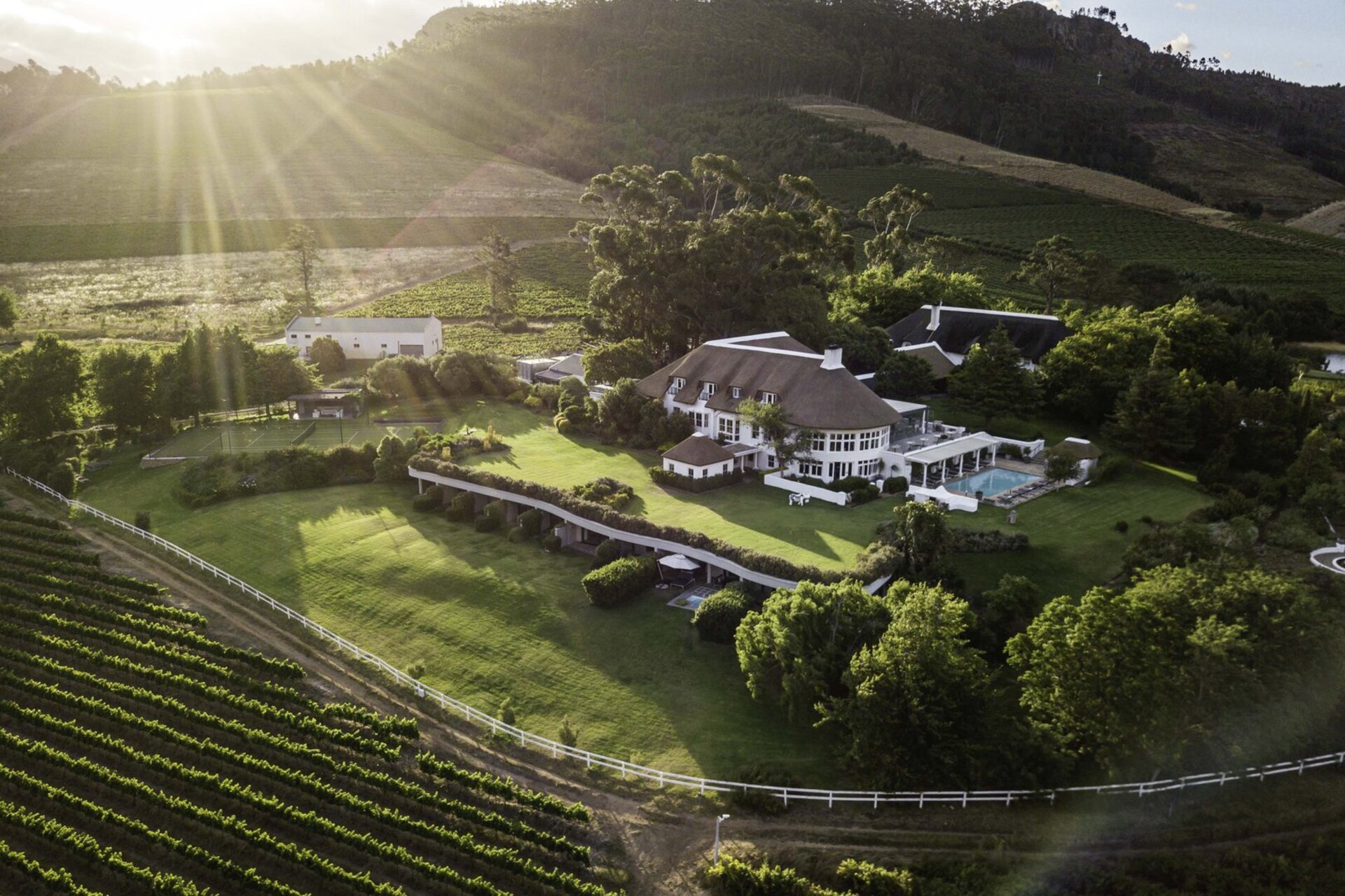 Viognier Room 1063