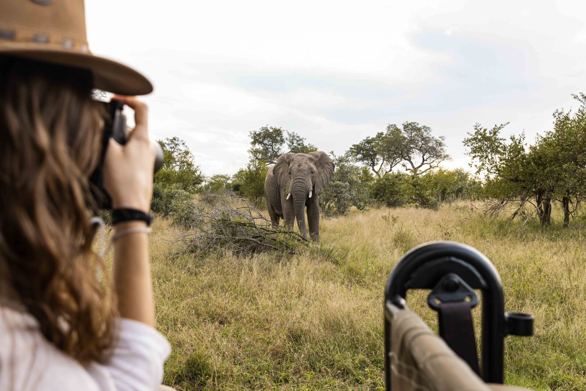 Private Safari Escape 1054