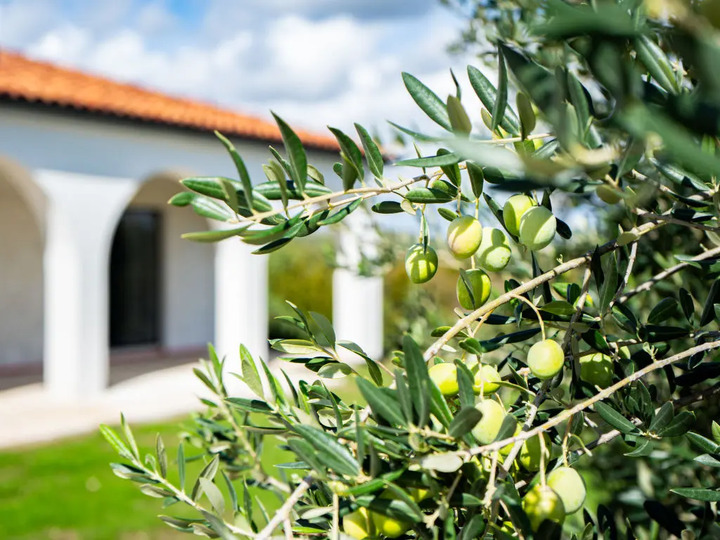 Sakin Vaha: 3 Yatak Odalı Villa 1262