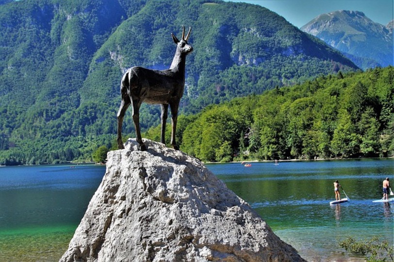Alp Serenity Dağ Evi – Bohinj, Slovenya