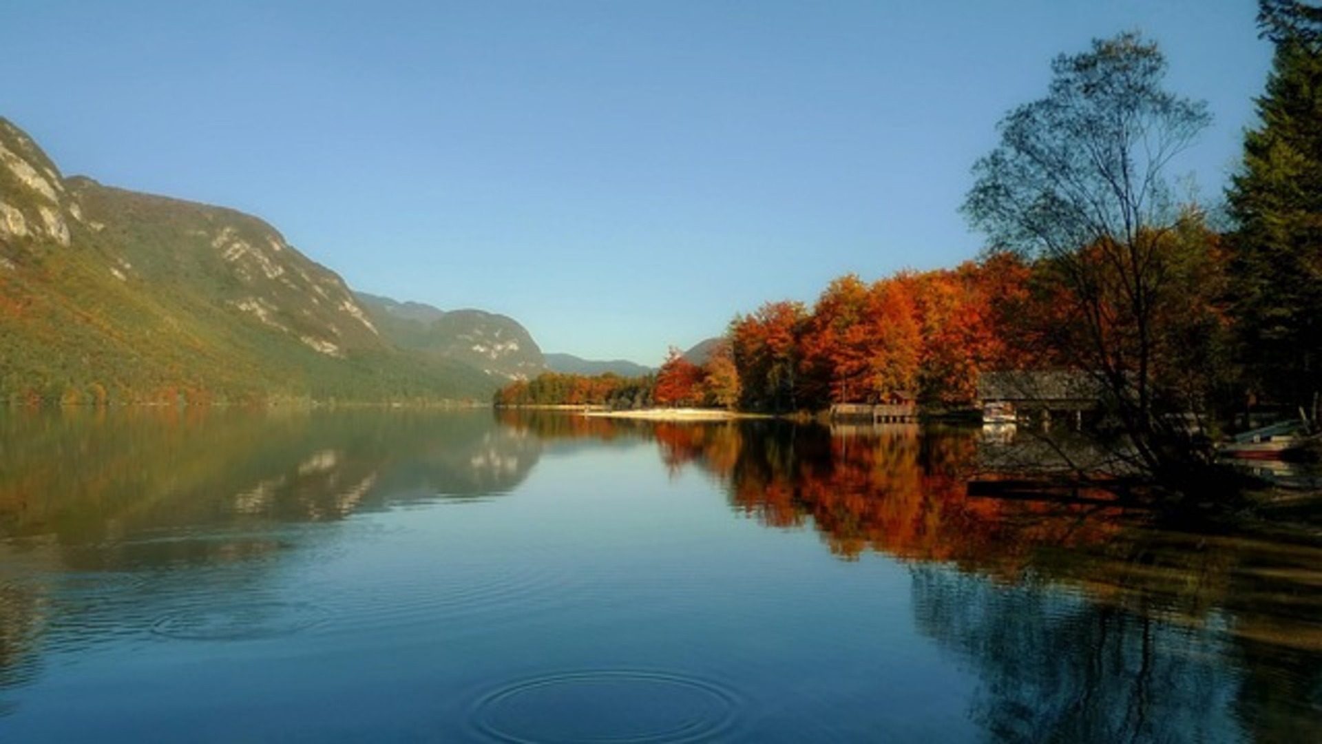 Alp Serenity Dağ Evi – Bohinj, Slovenya