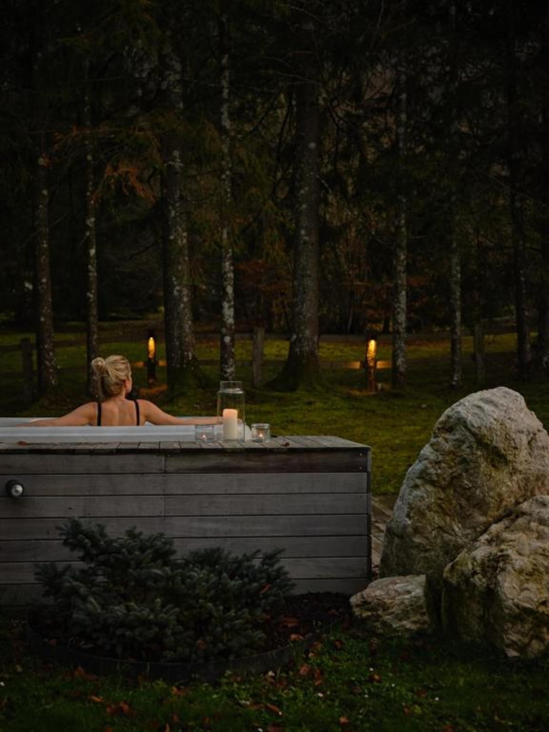Alp Serenity Dağ Evi – Bohinj, Slovenya