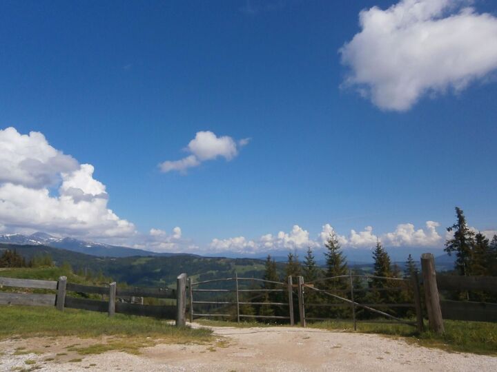 View