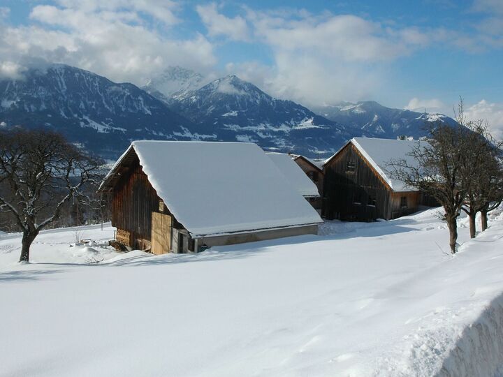 Stylish 4-Bed House in Feldkirch, Sleeps 9, 1038