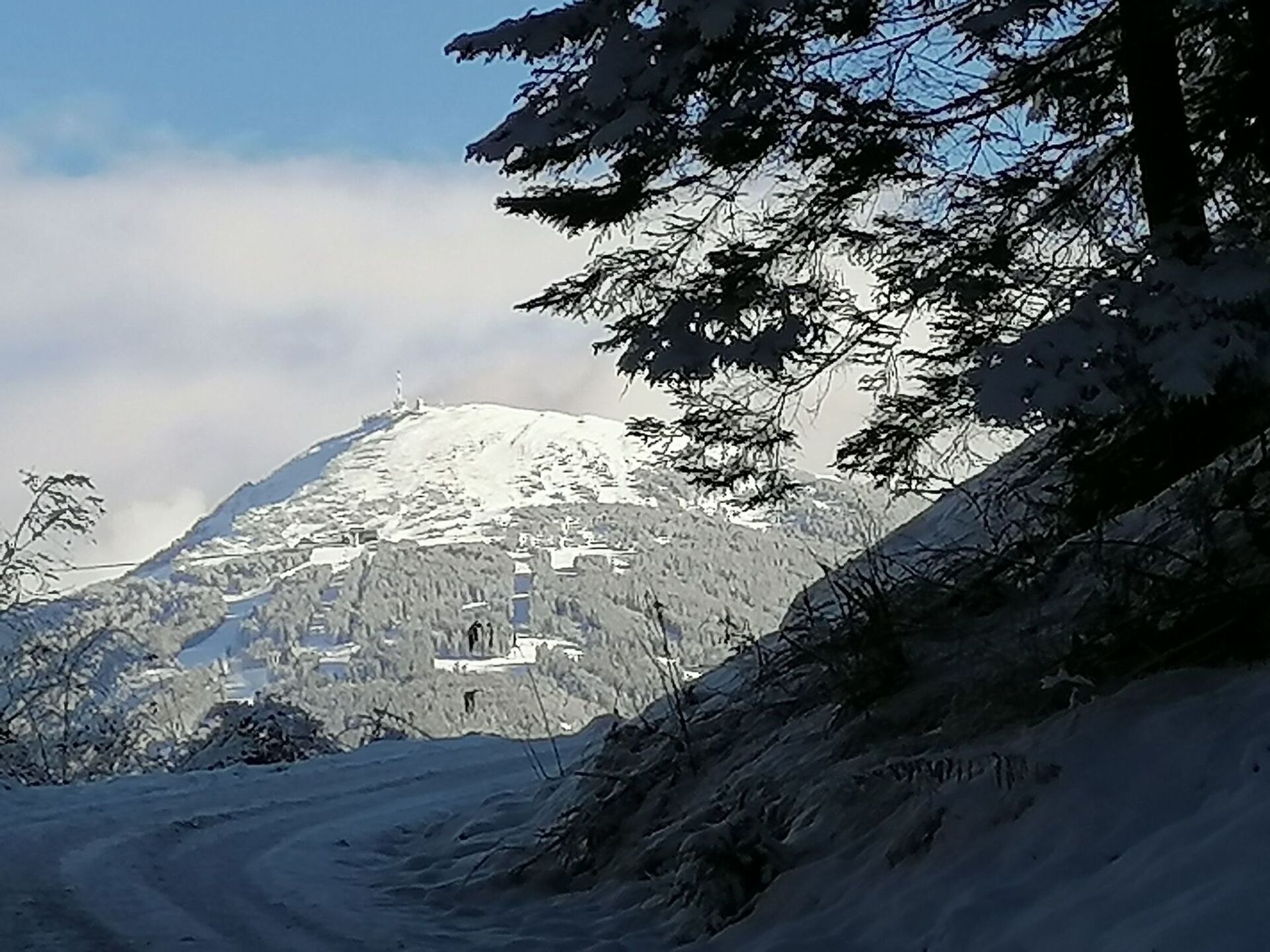 Innsbruck-Land'de 2 Yatak Odalı Daire, 4 Kişilik, 1293