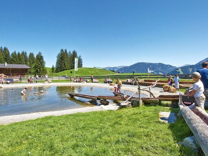 Kitzbühel'de Şık 4 Yatak Odalı Daire, 8 Kişilik, 1319