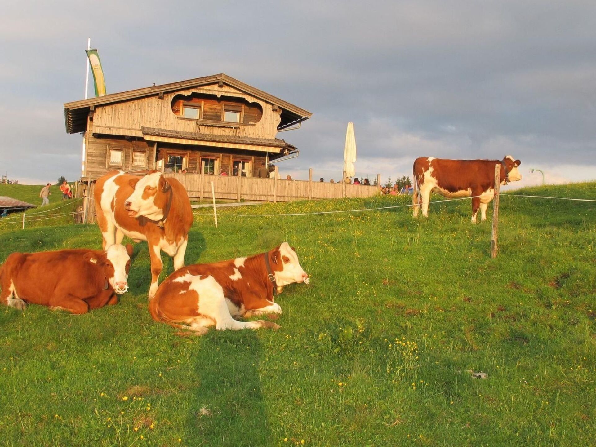 Kitzbühel'de 2 Yatak Odalı Daire, 4 Kişilik, 1321