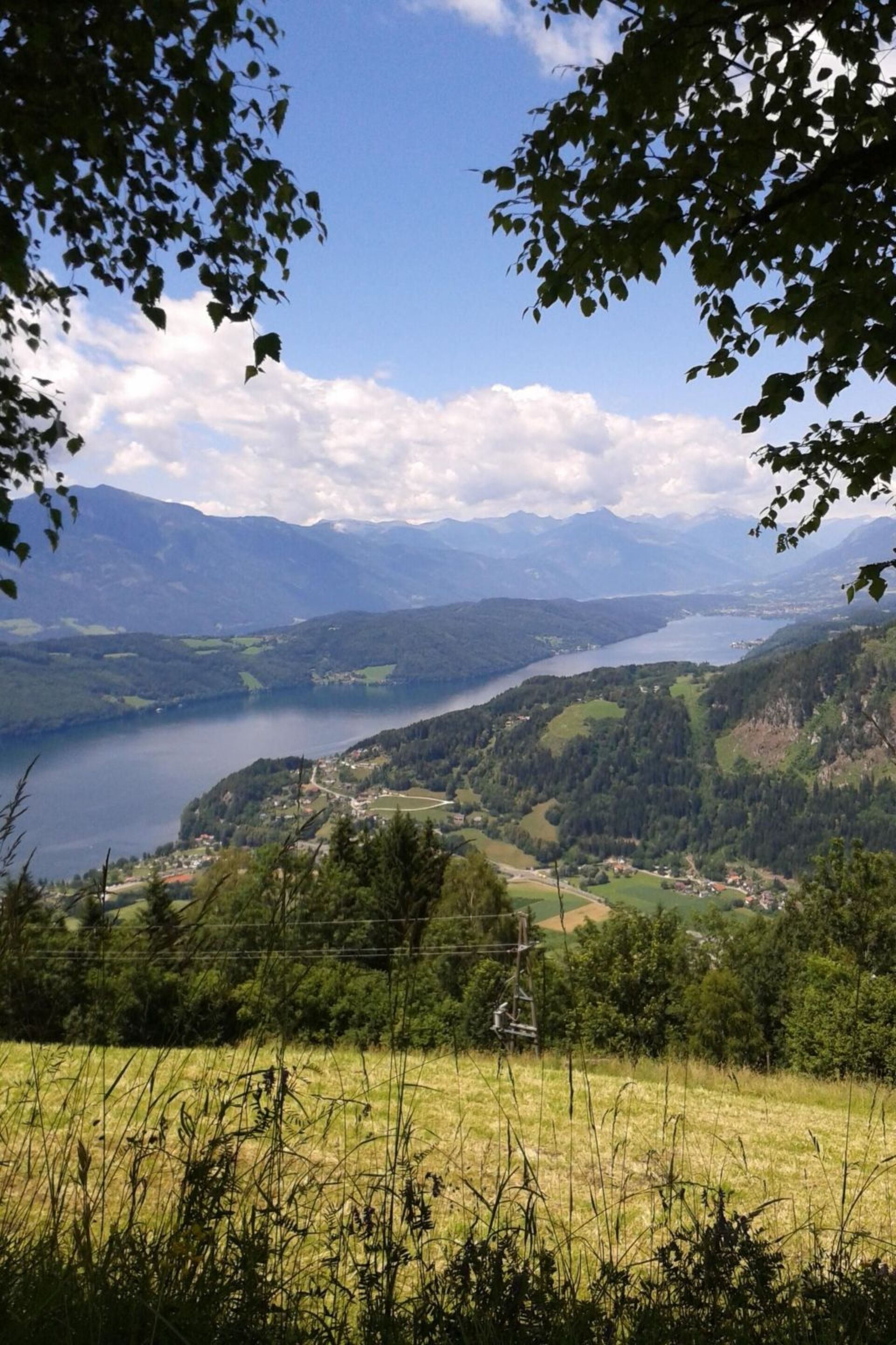 View