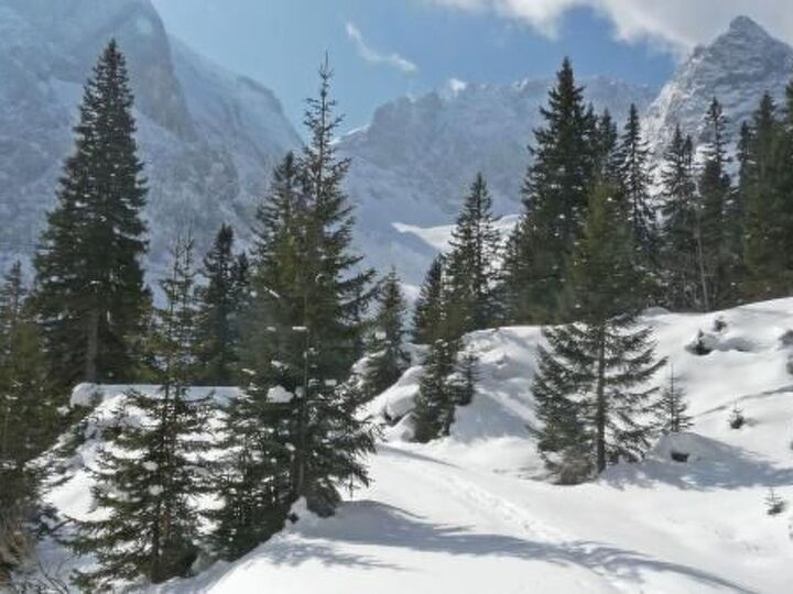 Innsbruck-Land'de Geniş 1 Yatak Odalı Daire, 3 Kişilik, 1340
