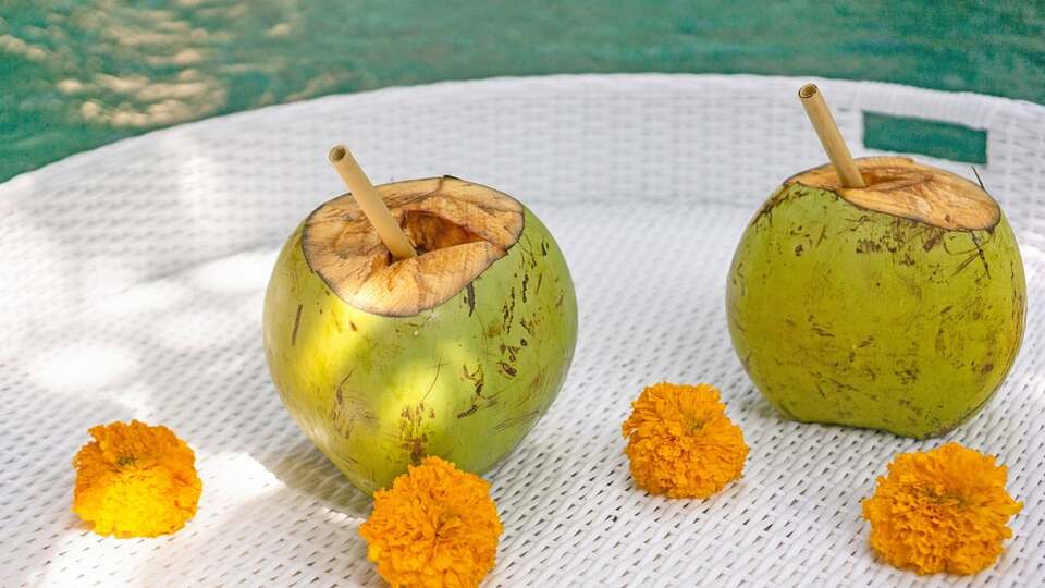 5 Star Villa Lora – Ubud Romance Hideaway