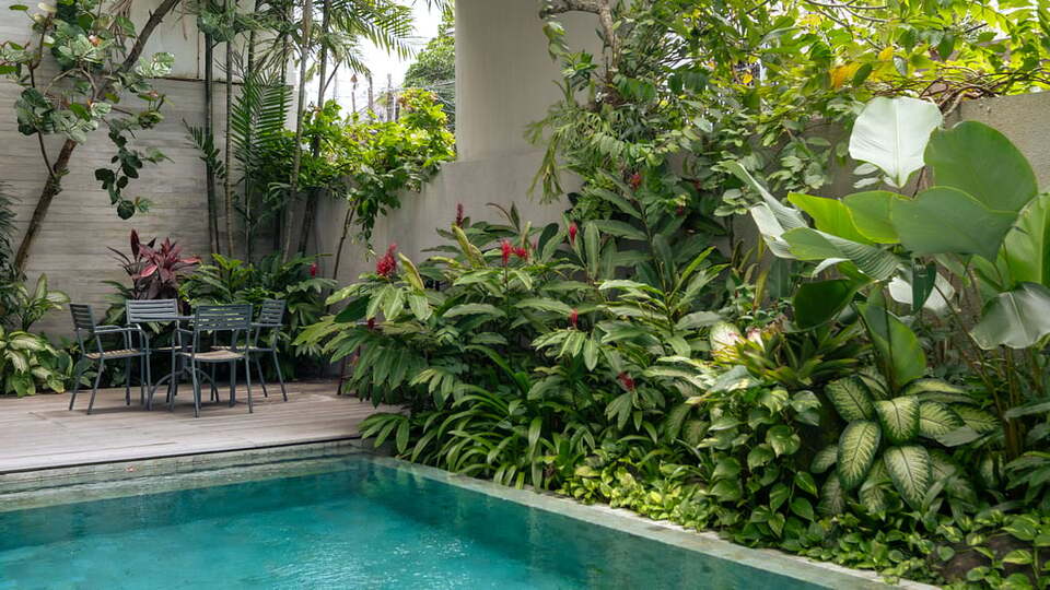 5 Star Swan Villa R – Boho Garden Escape