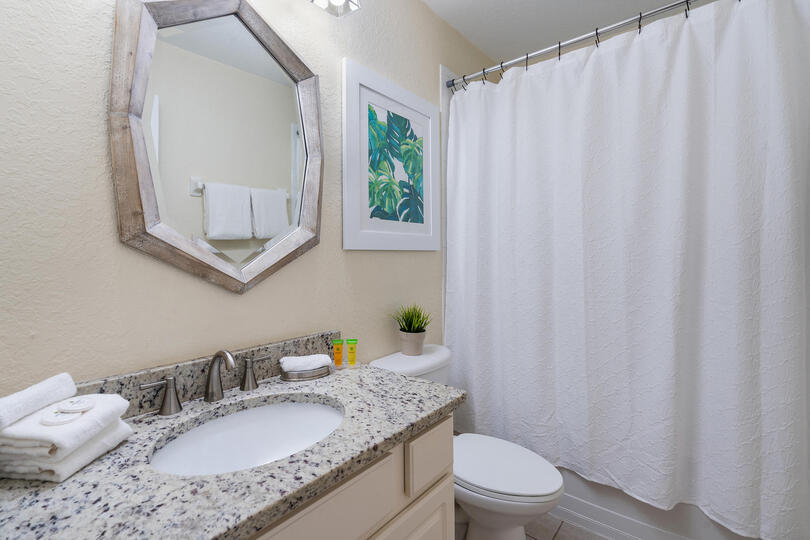 Hall Bathroom 4 Upstairs Tub/Shower Combo